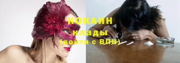бутират Богородицк