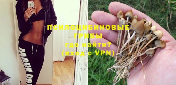 бутират Богородицк