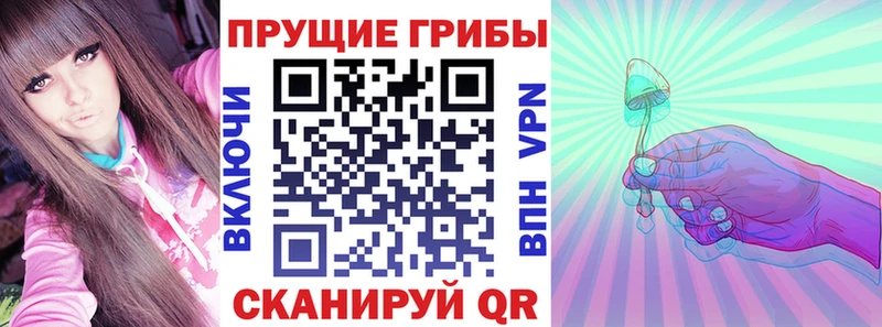Галлюциногенные грибы MAGIC MUSHROOMS  Купить закладки  Сусуман 
